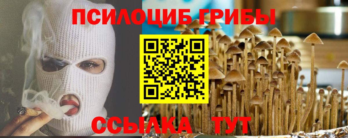 Галлюциногенные грибы ЛСД Можга